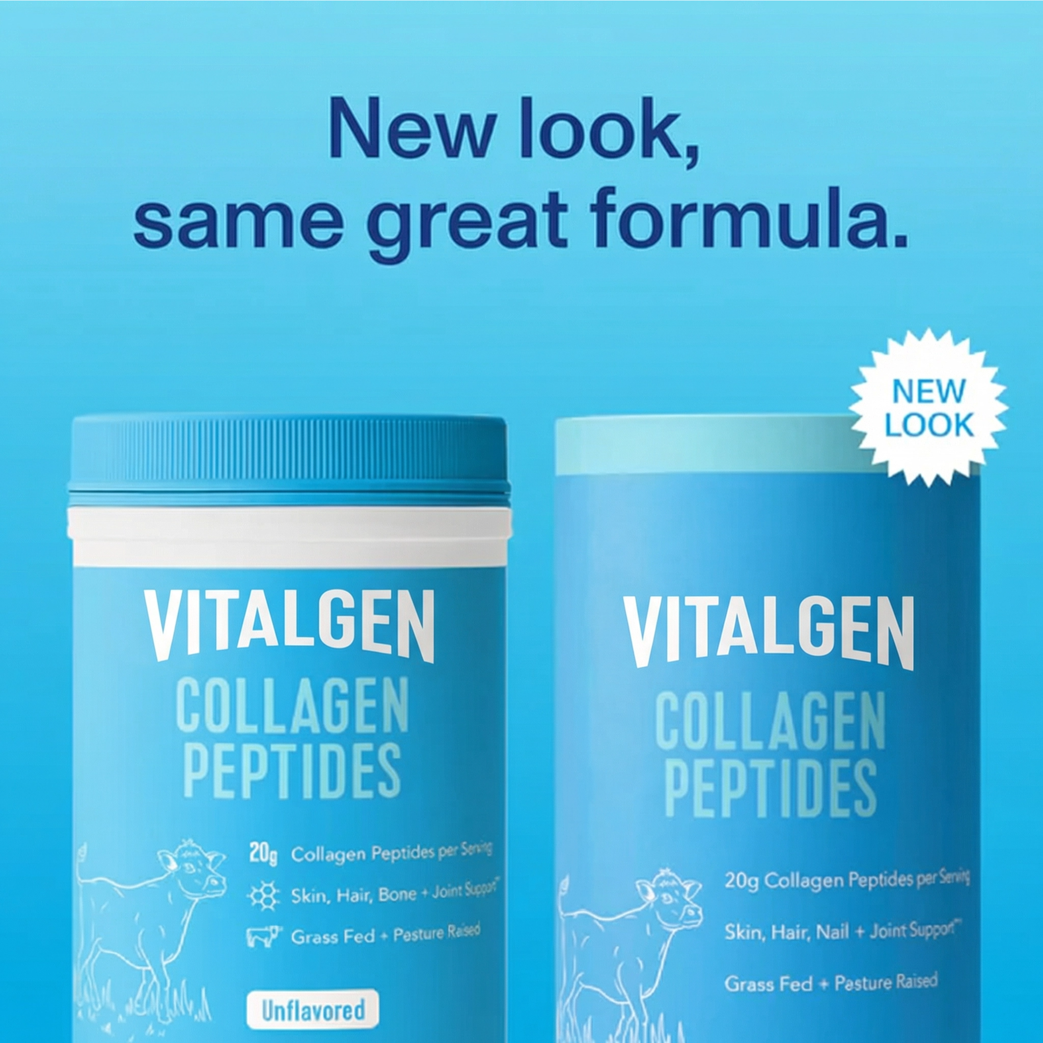 Collagen Peptides