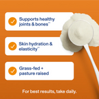 Pumpkin Spice Collagen Peptides